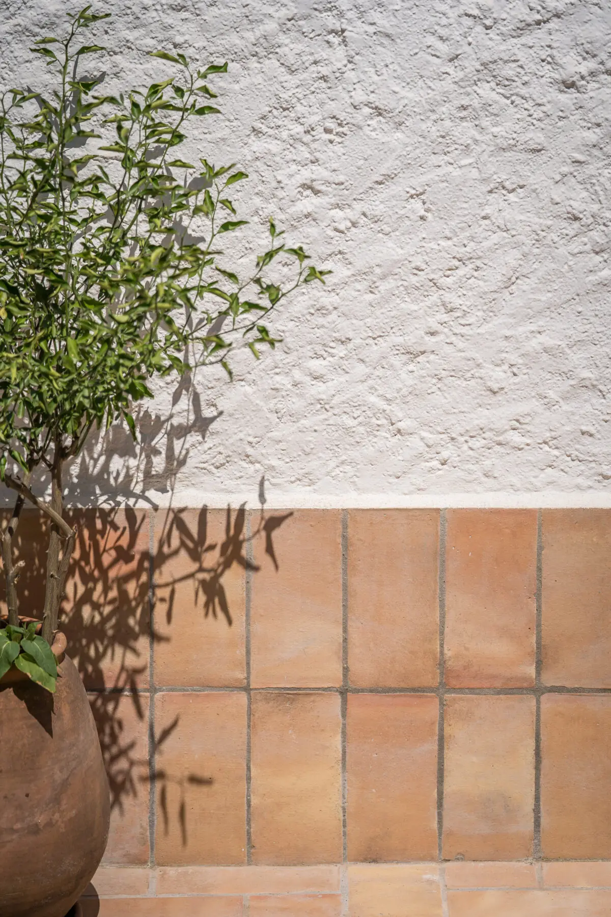 Ca la Glòria: reforma d’un habitatge unifamiliar a Girona — fotografia 11