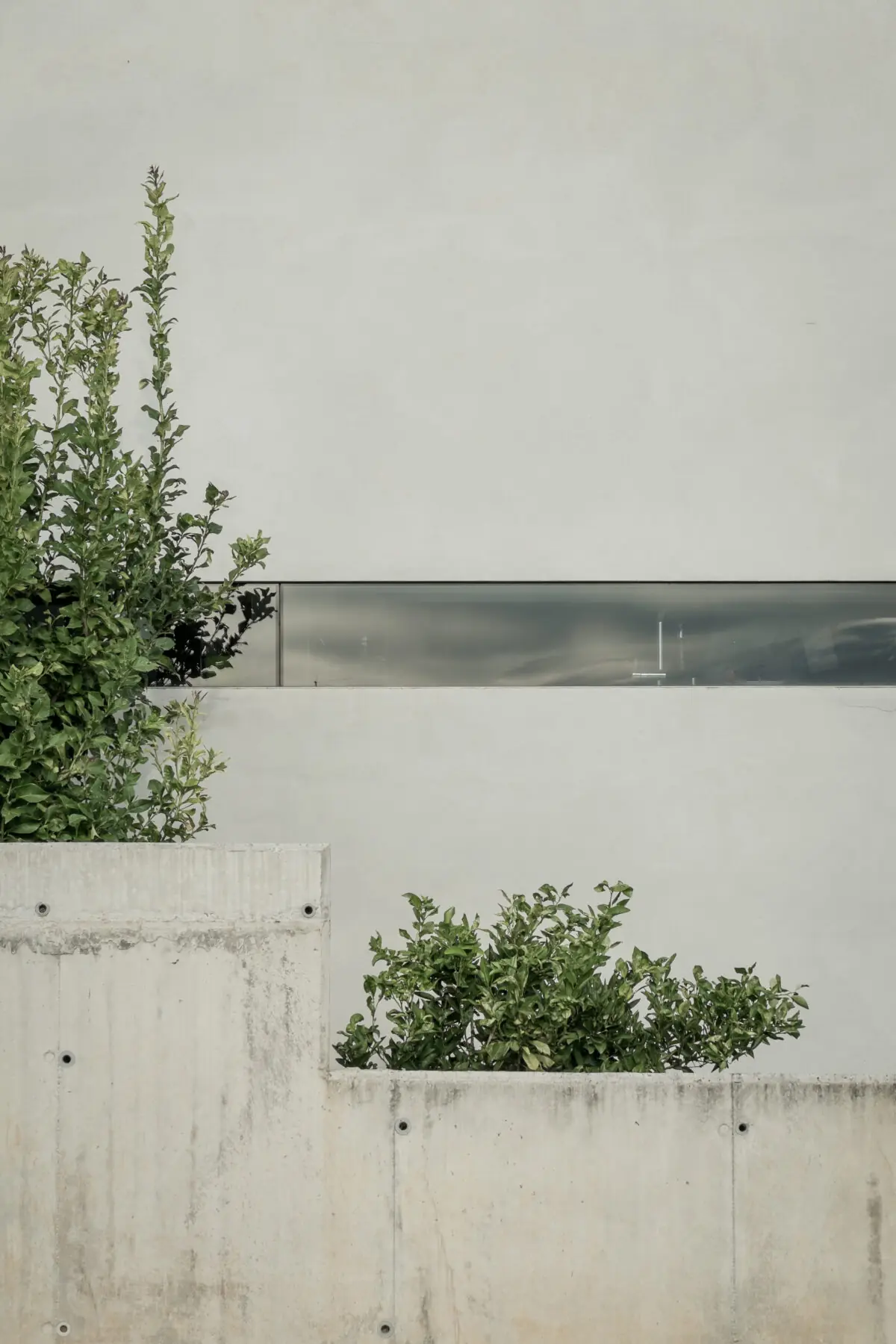 Casa JA: projecte d’arquitectura — fotografia 3