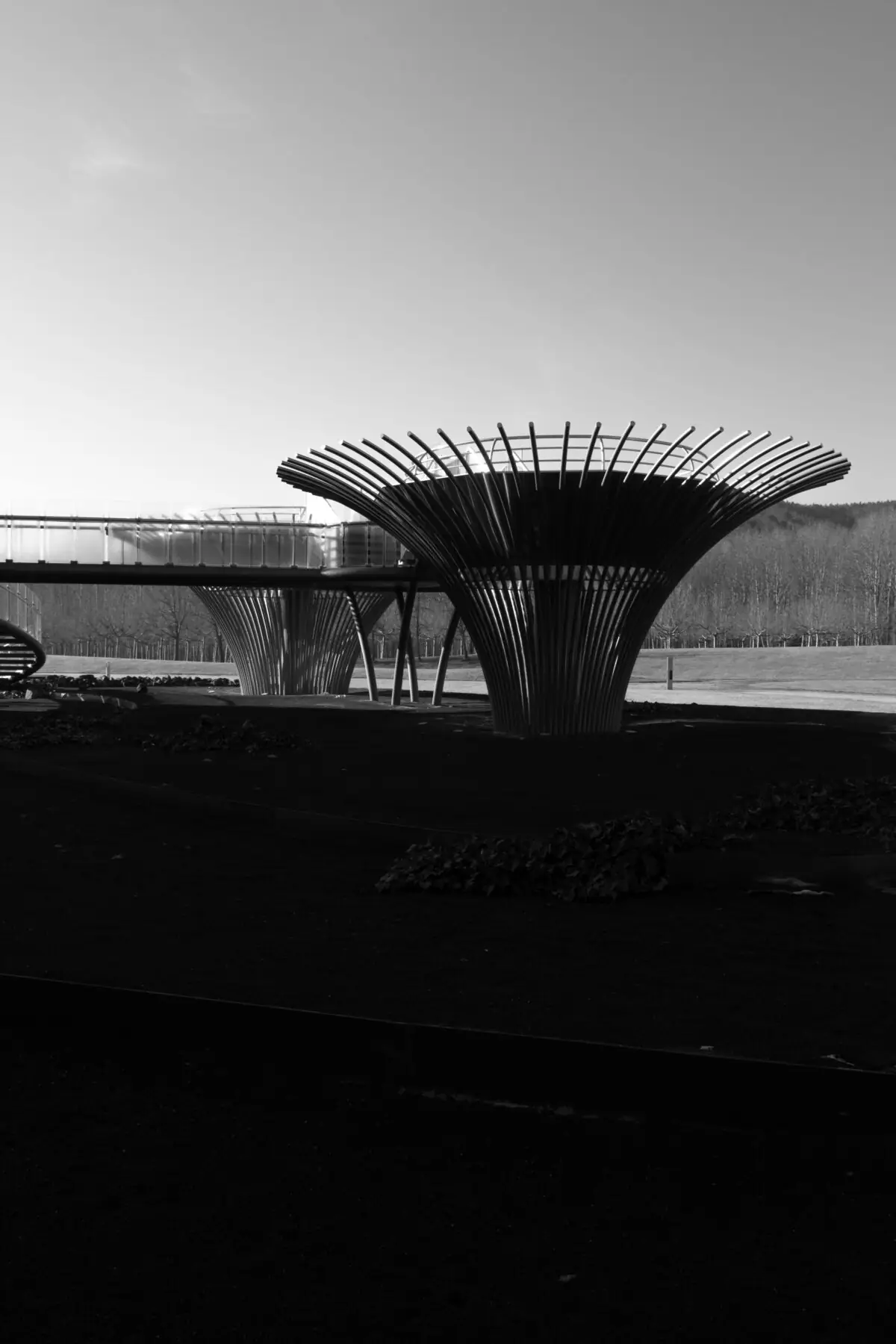 Magma – Centre Lúdic Termal: projecte d’arquitectura — fotografia 12