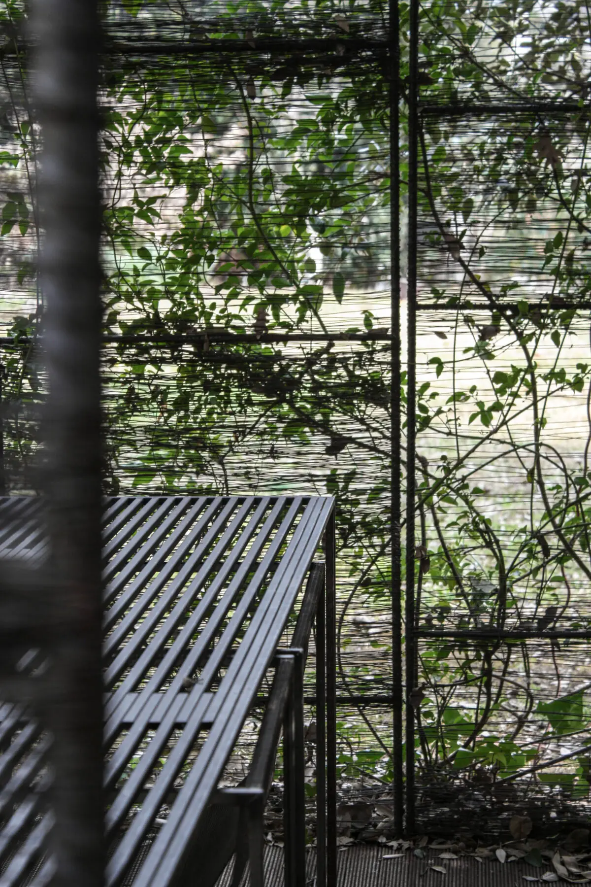 Sèrie Filtres: projecte d’arquitectura