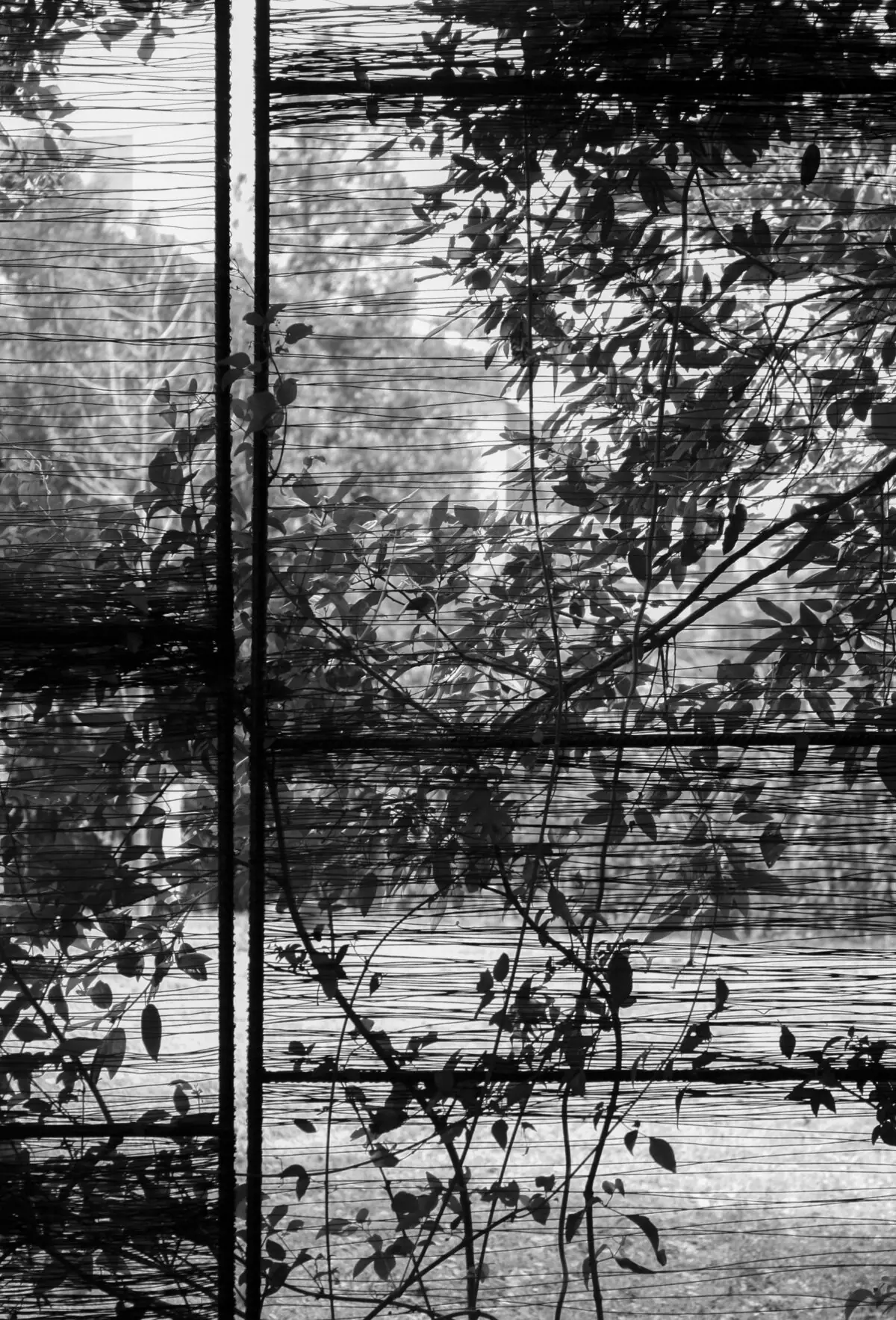 Sèrie Filtres: projecte d’arquitectura — fotografia 5