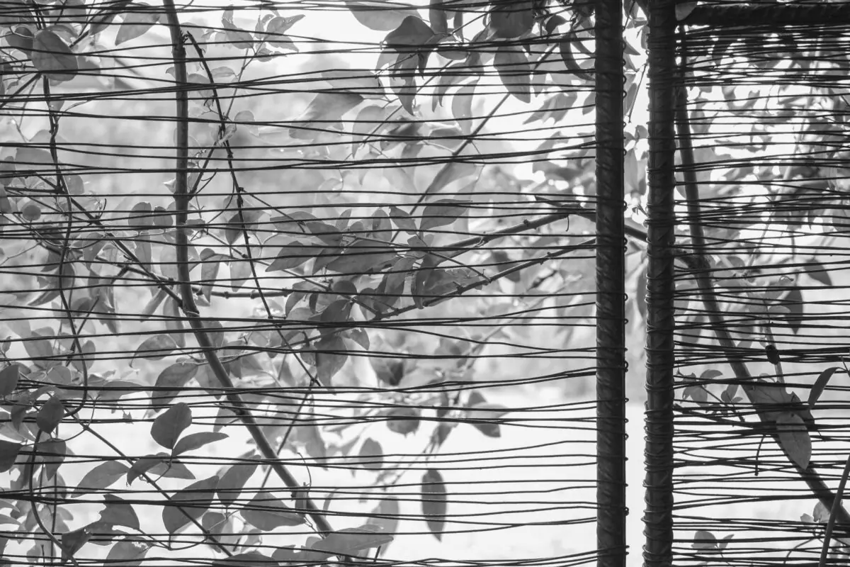 Sèrie Filtres: projecte d’arquitectura — fotografia 1